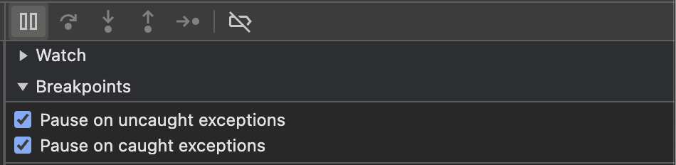 启用在源选项卡右侧面板中的异常暂停。