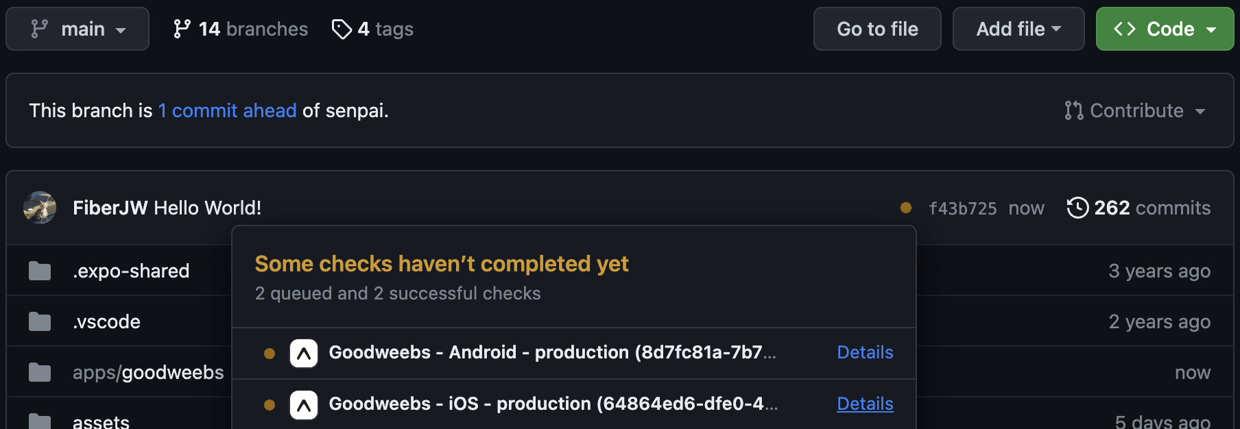 The GitHub checks section on a branch commit