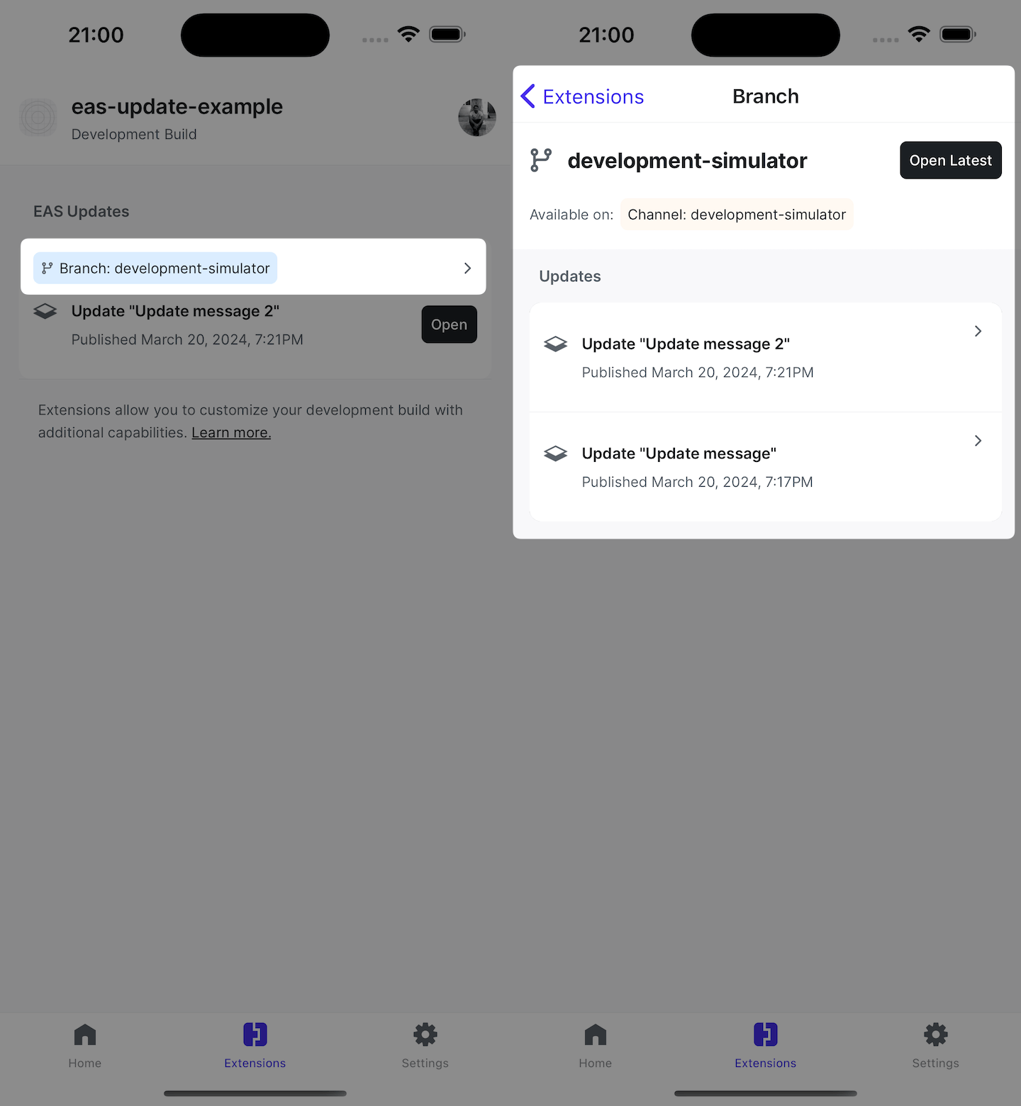 Extensions tab in a development build.