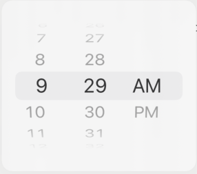 DateTimePicker (time) component on iOS.