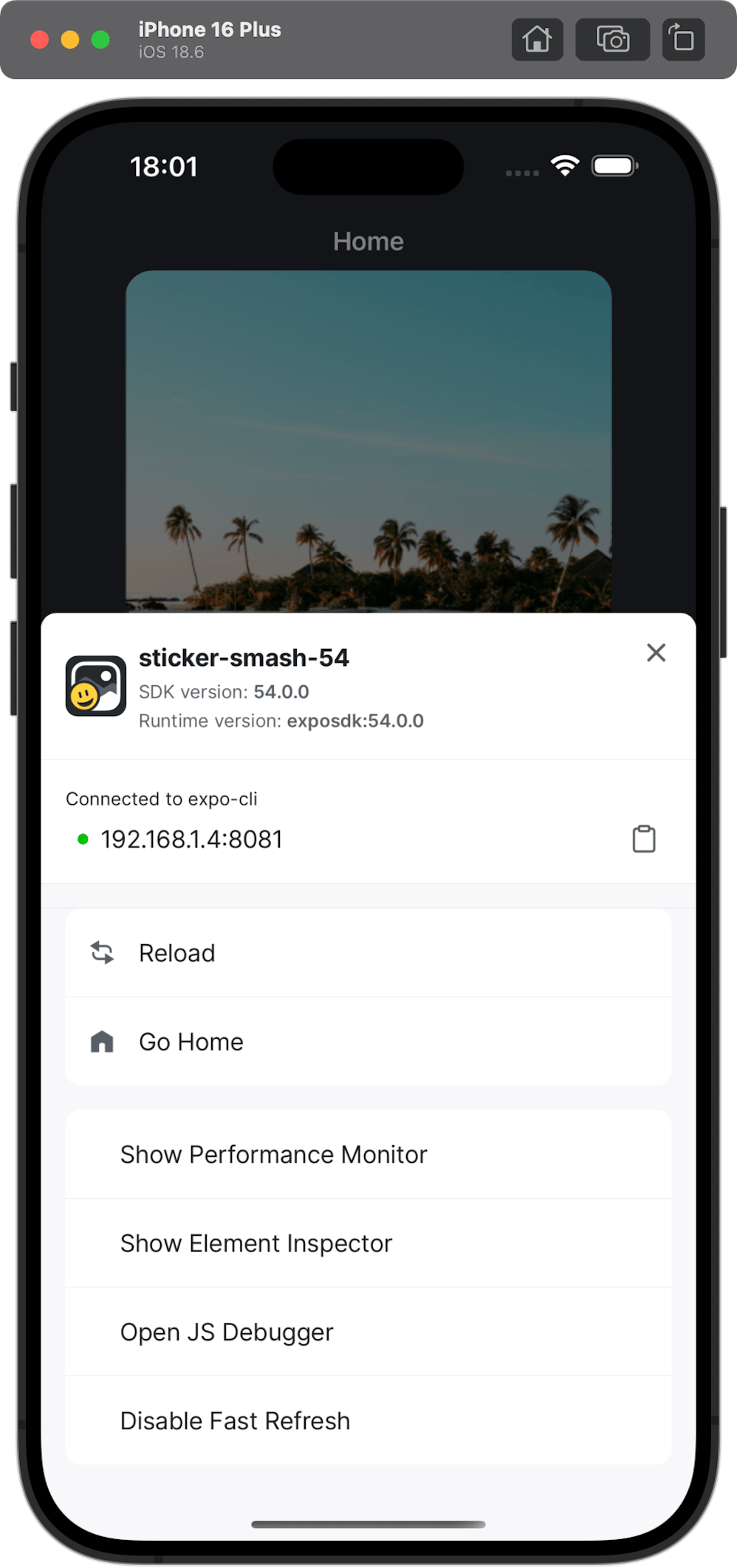 Expo Go 应用中的开发者菜单上的启动屏幕。