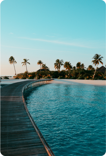 我们将用作教程占位符的背景图片。