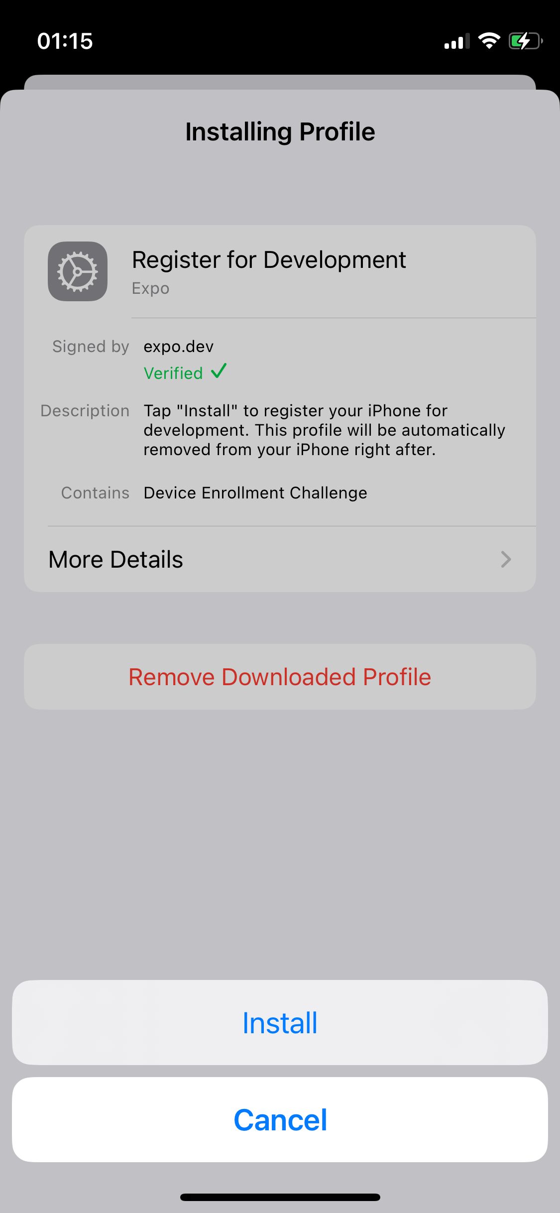 配置文件成功安装