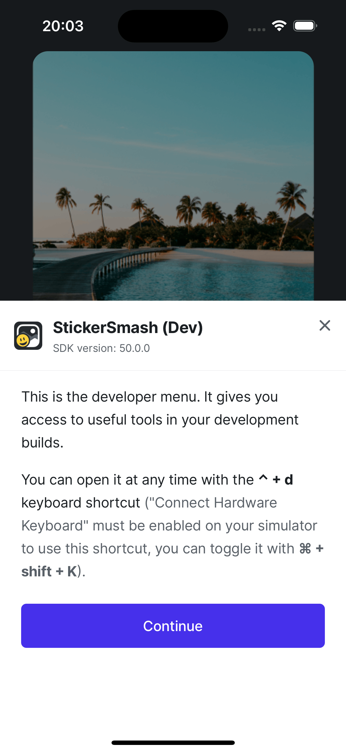 在 Android 设备上运行的开发变体。