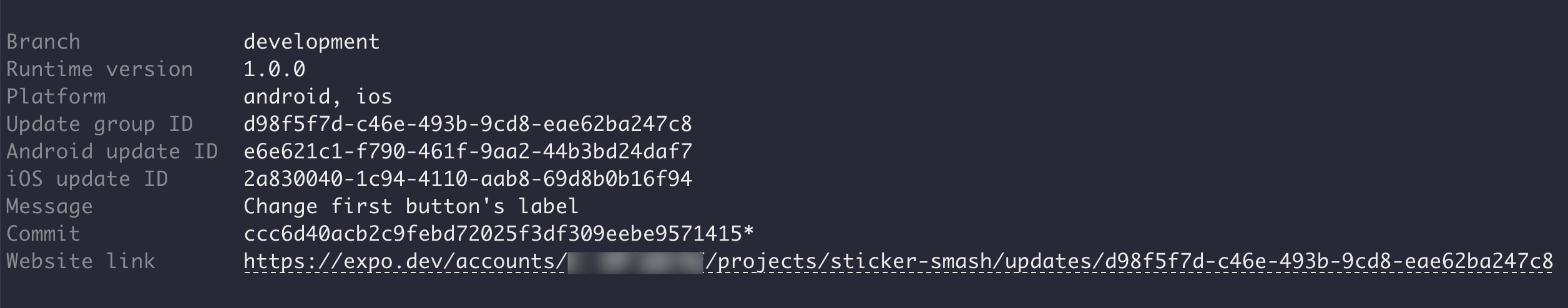EAS Update 已成功发布并显示 CLI 提示